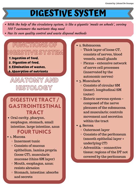 Solution Anatomy Physiology Digestive System Notes Studypool