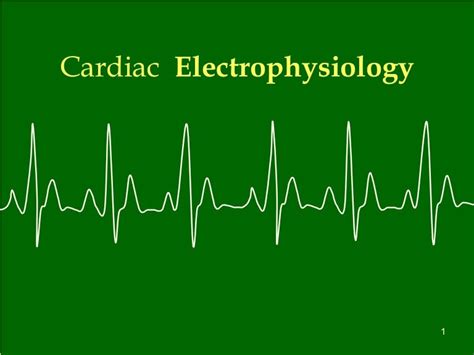 Cardiac+Electrophysiology