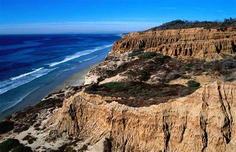 Torrey Pines Hiking: Woods, Wildlife and Waves