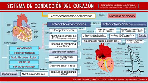 Fisiología básica 2015 Daniel Valdes Angulo grupo 10 sistema de