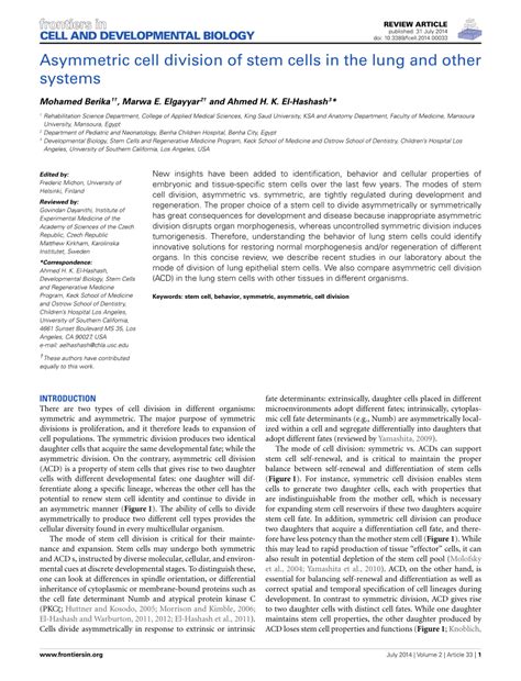 Pdf Asymmetric Cell Division Of Stem Cells In The Lung And Other Systems