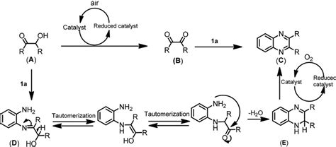 Scheme Proposed Mechanistic Pathways For The Synthesis Of