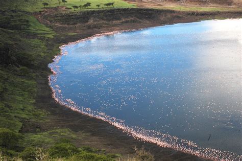 Rift Valley Lakes in Ethiopia - Tour Operators in Ethiopia | OVERLAND ...