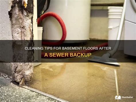 Cleaning Tips For Basement Floors After A Sewer Backup Shunshelter