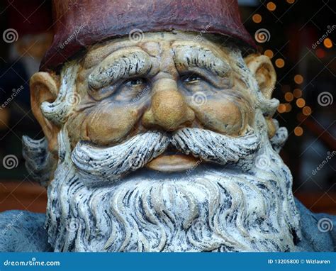 Dwarf Man S Face Stock Photo Image Of Beard Fairytale 13205800