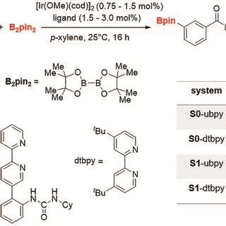 Iridium iii catalyzed meta C sp² H borylation of aryl amides using