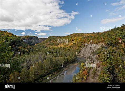 Fall at the Genesee River Gorge Stock Photo - Alamy