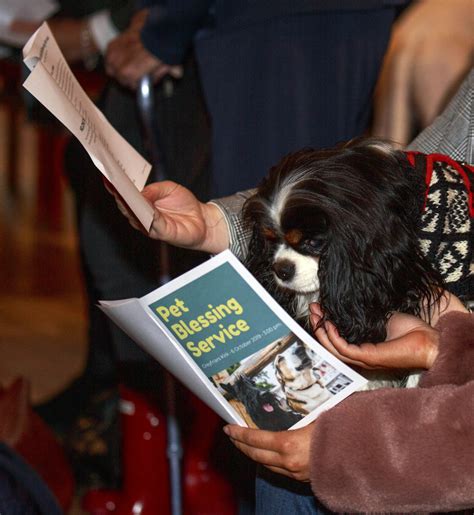 Pet Blessing Ceremony Greyfriars Kirk Edinburgh. – Live Edinburgh News