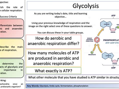 Respiration Oxford Aqa A Level Biology Teaching Resources