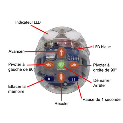 Blue Programmation Des Robots En Classe