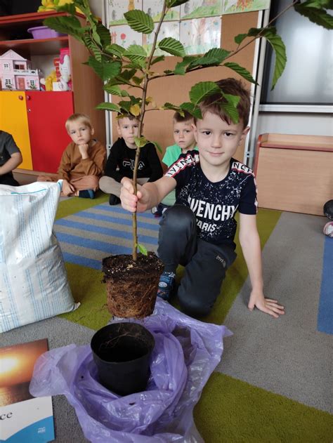 Mi Dzynarodowy Dzie Drzewa Miejskie Przedszkole Nr W P Ocku