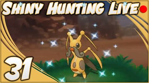 Shiny Zirpeise Live Reaktion Shiny Hunting Live 31 Pokémon