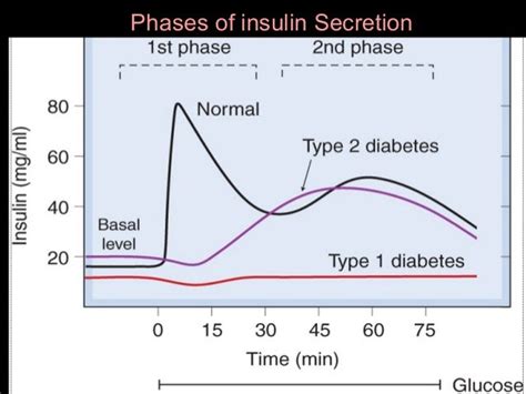 Insulin