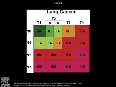 A Cancer Staging Primer Lung Ppt Download