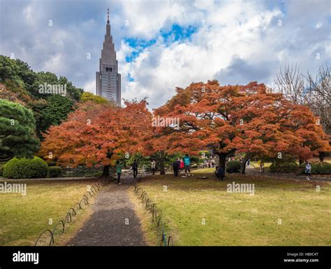 Shinjuku gyoen park hi-res stock photography and images - Alamy