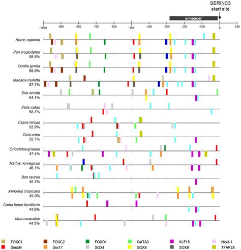 From Beginning To End Expanding The Serinc Interactome Through An In