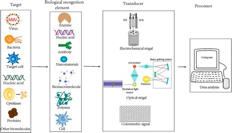 Frontiers Current Progress Of Functional Nanobiosensors For Potential Tuberculosis Diagnosis