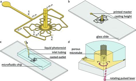 Unleashing Continuous Precision Microtube Synthesis With Two Photon