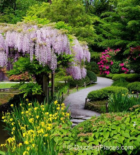 A Late Spring Visit to the Japanese Garden in Seattle's Washington Park ...