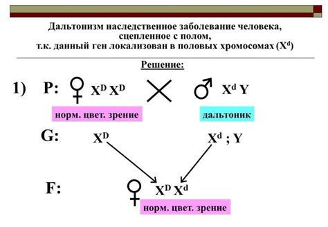 Какова вероятность рождения сына-дальтоника, если известно, что его ...