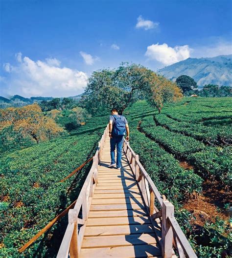 Tempat Wisata Di Malang Yang Paling Seru