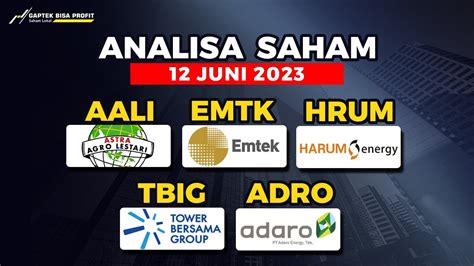 Analisa Saham Juni Hari Senin Aali Emtk Hrum Tbig Adro