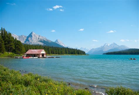 How Is The Fishing In Maligne Lake Trickyfish