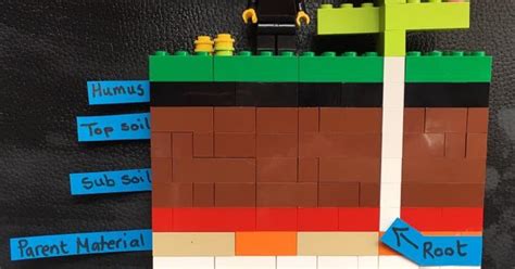 An Ordinary Life Science Lego Soil Layers