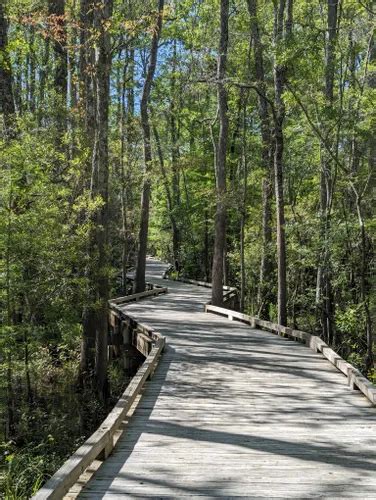 Best Forest Trails In Conway AllTrails