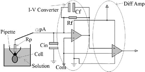 Schematic Illustration Of Traditional Patch Clamp Amplifier Download