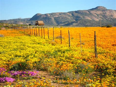 Namaqua Quest, Spring 3 Day Stage Race - mtbapp