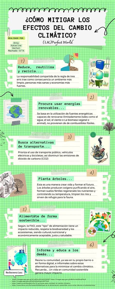 Acciones Para Mitigar Los Efectos Del Cambio Climático Imperfect World