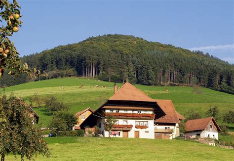 Baden-Württemberg | Geography, Economy & History | Britannica