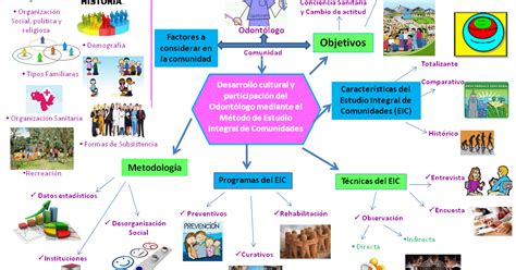 Mapa Conceptual De La Comunidad Arbol The Best Porn Website