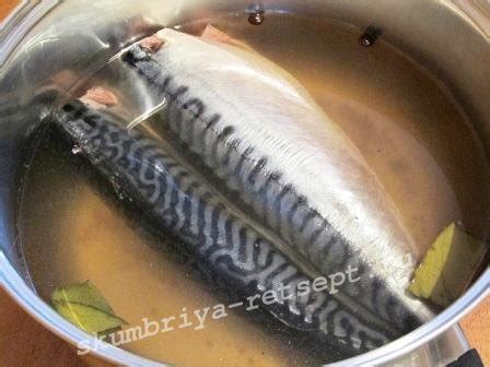 Как посолить скумбрию целиком в домашних условиях вкусно в рассоле