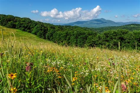 Elevation of Boone, NC, NC, USA - Topographic Map - Altitude Map