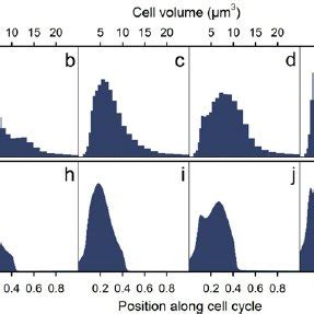 Fig S Oscillations Of A Algal Biovolume Green B Cell Density