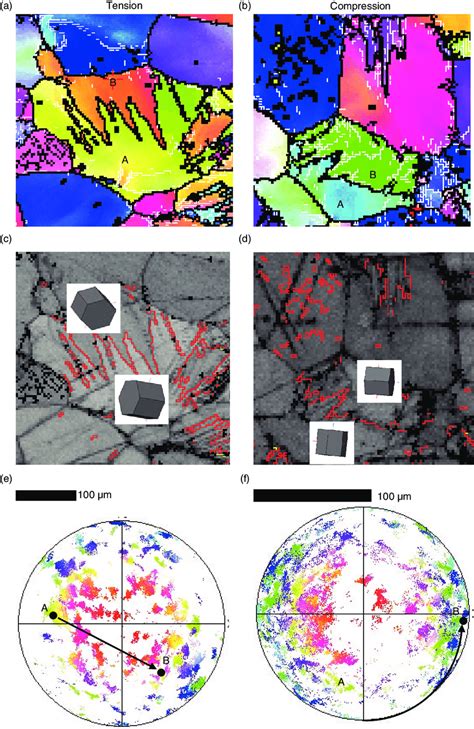 Orientation Image Maps OIM And 1012 Tensile Twinning Boundaries Of