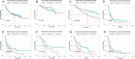 PLU1 Promotes the Proliferation and Migration of Glioma Cells and