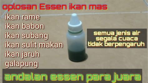 Semua Jenis Air Dan Ukuran Ikan Mas Oplosan Essen Ikan Mas Gacor