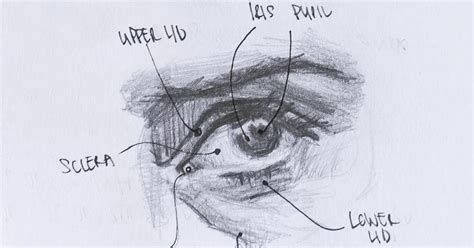 Free PDF for Drawing Realistic Facial Expressions by artwithrod on ...