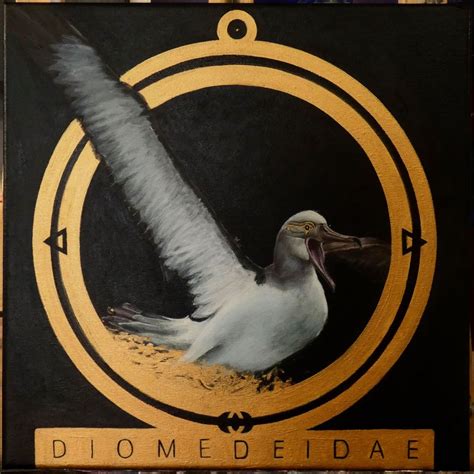 Agreement On The Conservation Of Albatrosses And Petrels Salvins
