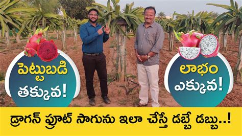 Dragon Fruit Farming In Telugu How To Start Dragon Fruit Farm In