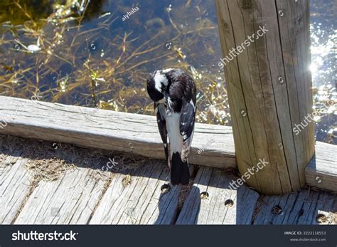 O Pipe Over 878 Royalty Free Licensable Stock Photos Shutterstock