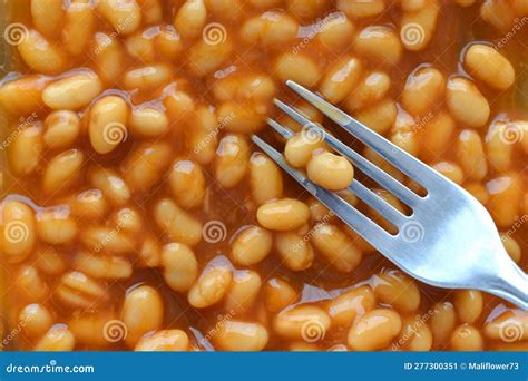 Baked Beans In Tomato Sauce Stock Image Image Of Food Snack 277300351