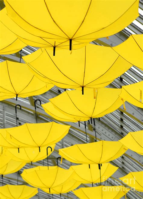 Yellow Umbrellas Digital Art By Glenn Morimoto Fine Art America