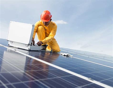 Solar Panel Bird Proofing Services Clean Green Energy