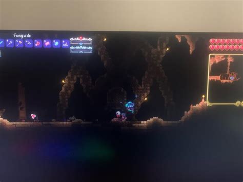 I just decided to play through terraria calamity again after a few ...