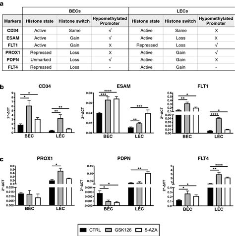 Induction of blood vascular endothelial cell markers by epigenetic ...