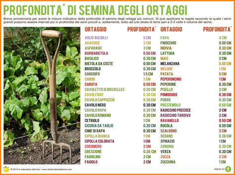 Scopri Il Calendario Trattamenti Orto Guida Completa Per Un Raccolto